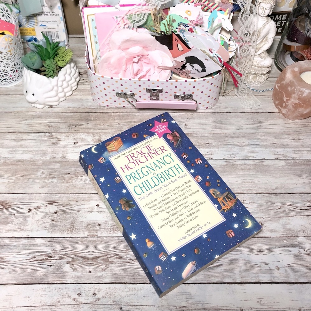 Pregnancy & Childbirth Paperback Book By Tracie Hotchner Nonfiction Baby Infant